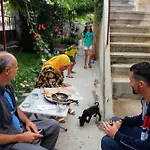 Acan Guenluek Kiralik Ev Uerguep Mustafapasa