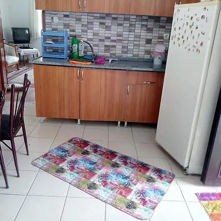 Acan Guenluek Kiralik Ev Uerguep Apartment