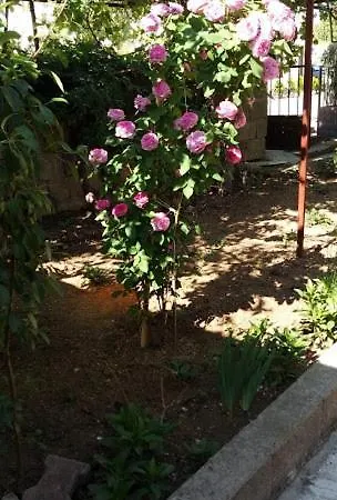Appartement Acan Guenluek Kiralik Ev Uerguep Mustafapaşa