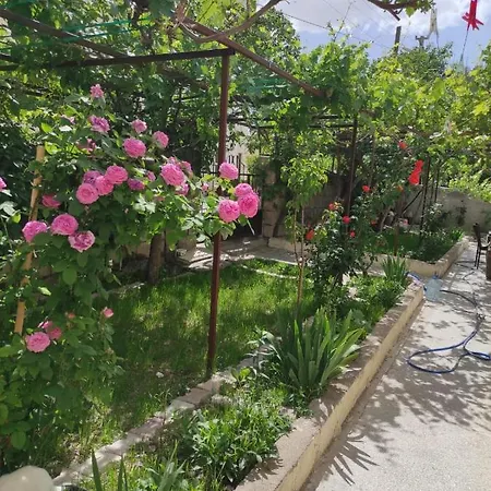 Acan Guenluek Kiralik Ev Uerguep