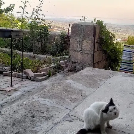 Apartment Acan Guenluek Kiralik Ev Uerguep Mustafapasa
