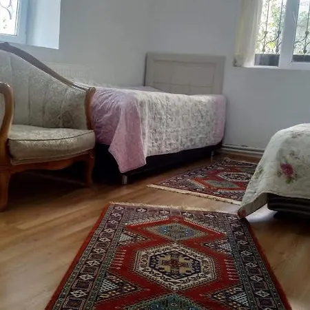 Acan Guenluek Kiralik Ev Uerguep