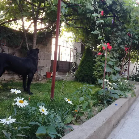Acan Guenluek Kiralik Ev Uerguep Mustafapaşa
