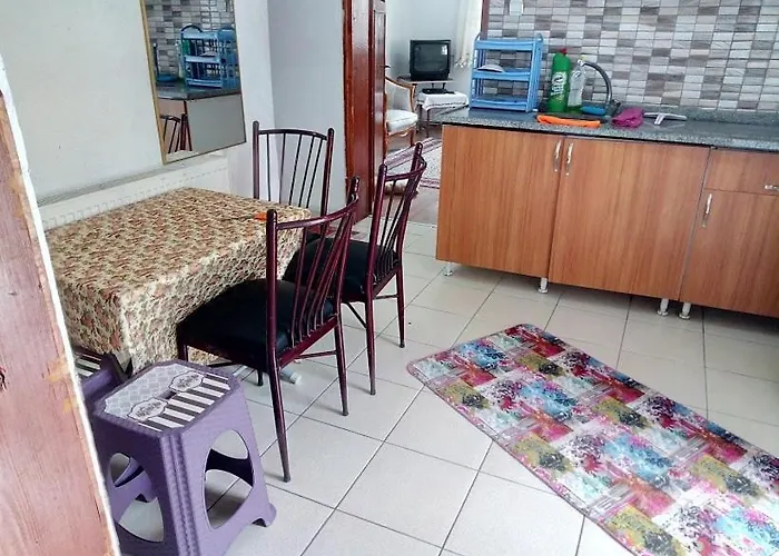 Acan Guenluek Kiralik Ev Uerguep Apartman