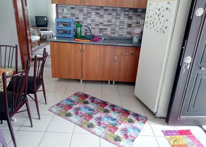 Acan Guenluek Kiralik Ev Uerguep Apartman