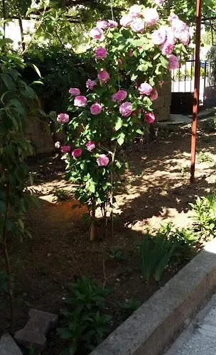 Apartman Acan Guenluek Kiralik Ev Uerguep Mustafapaşa