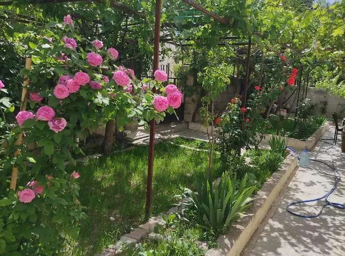 Acan Guenluek Kiralik Ev Uerguep