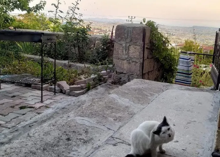 Apartament Acan Guenluek Kiralik Ev Uerguep Mustafapaşa