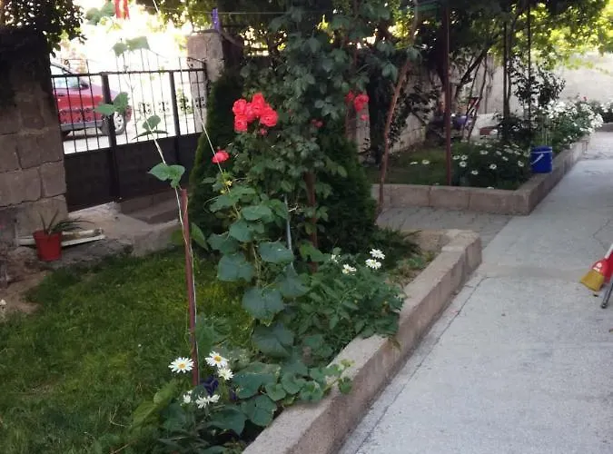 Apartman Acan Guenluek Kiralik Ev Uerguep *